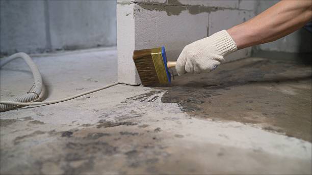 24/7 Emergency Crawl Space Encapsulation experts in Phelps, NY